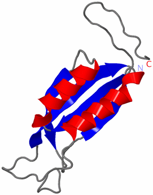 Image Asymmetric Unit