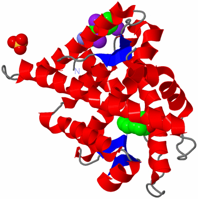 Image Asym./Biol. Unit