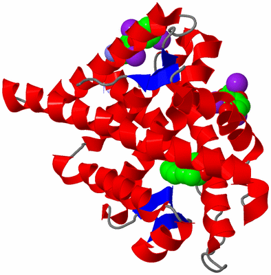 Image Asym./Biol. Unit