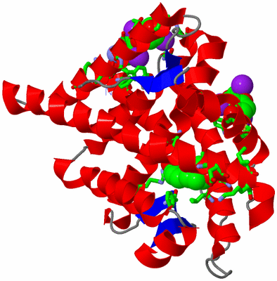 Image Asym./Biol. Unit - sites