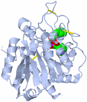 Image Biological Unit 1