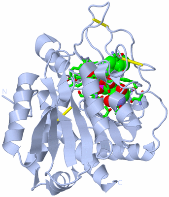 Image Biol. Unit 1 - sites