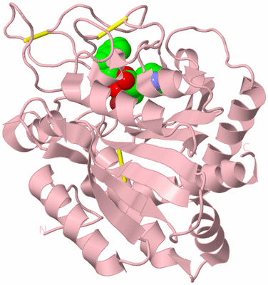 Image Biological Unit 3