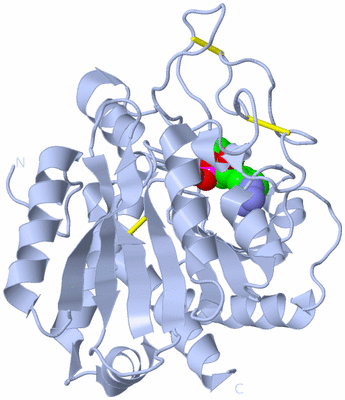 Image Biological Unit 1