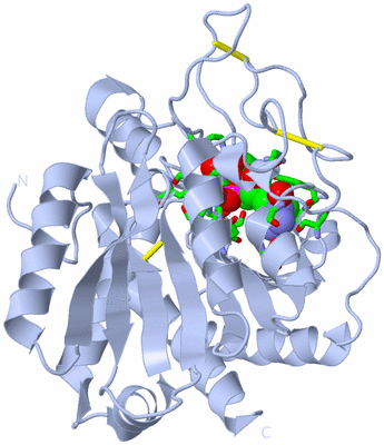 Image Biol. Unit 1 - sites