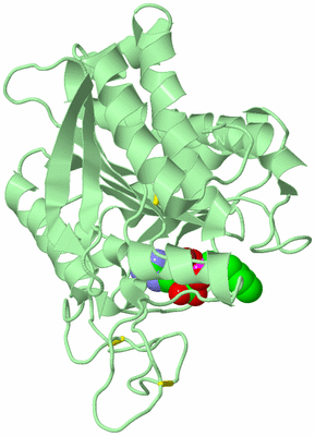 Image Biological Unit 2