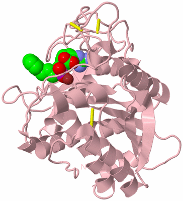 Image Biological Unit 3