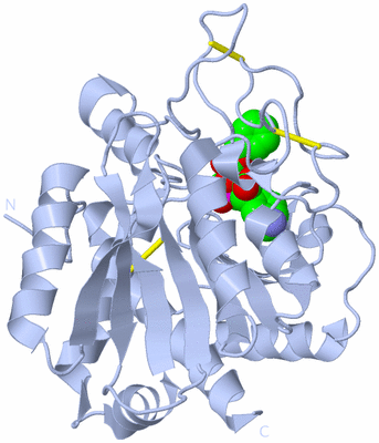 Image Biological Unit 1