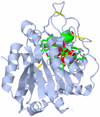 Image Biol. Unit 1 - sites