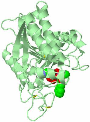 Image Biological Unit 2