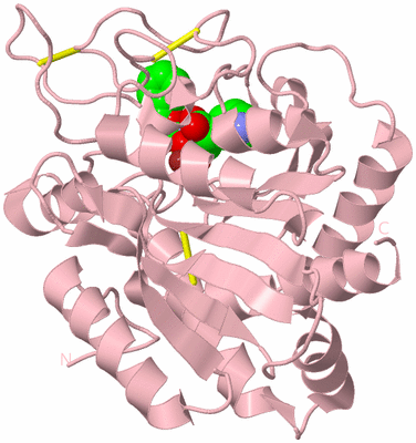 Image Biological Unit 3