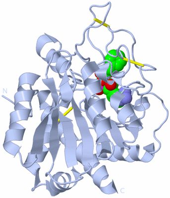 Image Biological Unit 1