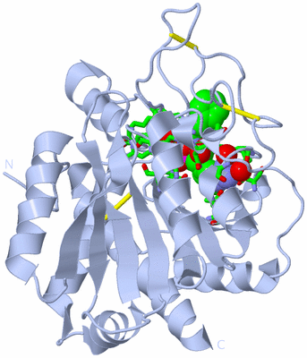 Image Biol. Unit 1 - sites