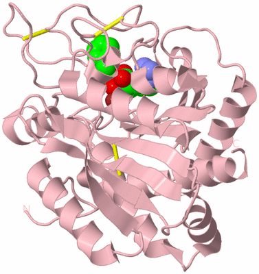 Image Biological Unit 3