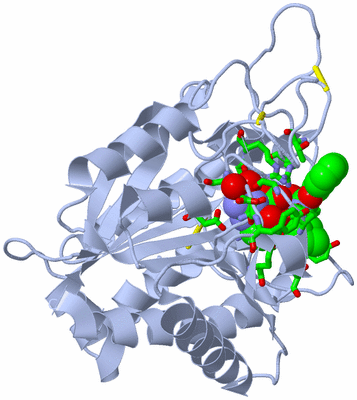 Image Biol. Unit 1 - sites