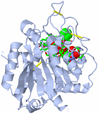 Image Biol. Unit 1 - sites