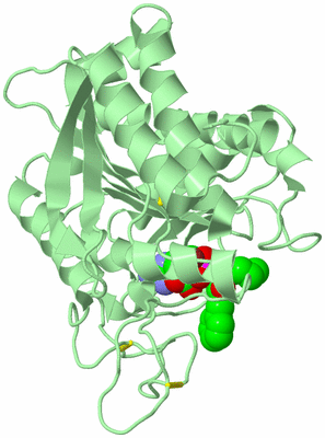 Image Biological Unit 2