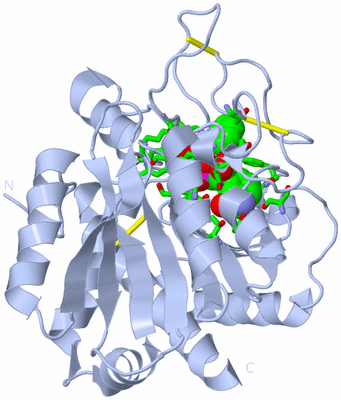 Image Biol. Unit 1 - sites