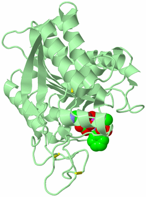 Image Biological Unit 2