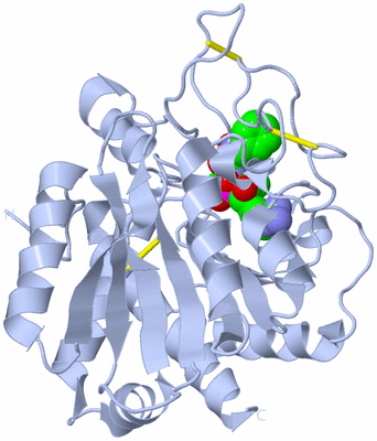 Image Biological Unit 1