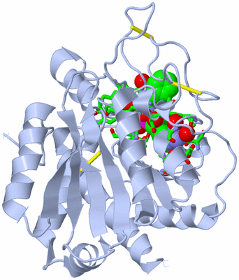 Image Biol. Unit 1 - sites