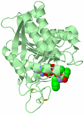 Image Biological Unit 2