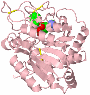 Image Biological Unit 3