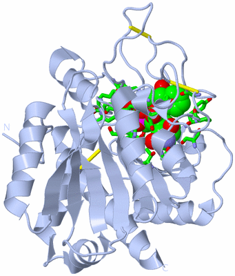 Image Biol. Unit 1 - sites