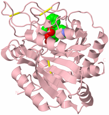 Image Biological Unit 3