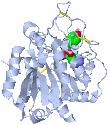 Image Biological Unit 1