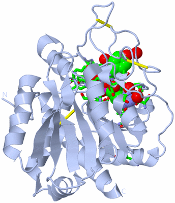 Image Biol. Unit 1 - sites