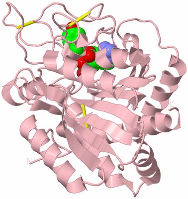 Image Biological Unit 3