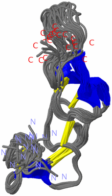 Image NMR Structure - all models