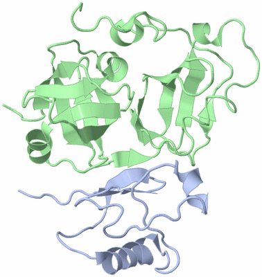 Image NMR Structure - model 1