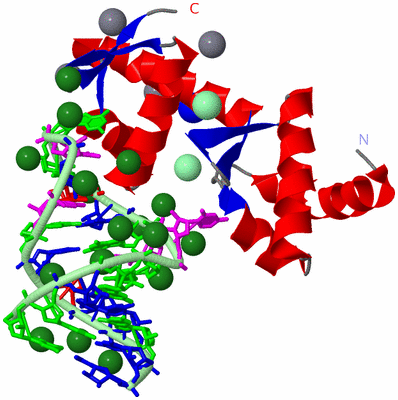 Image Asym./Biol. Unit