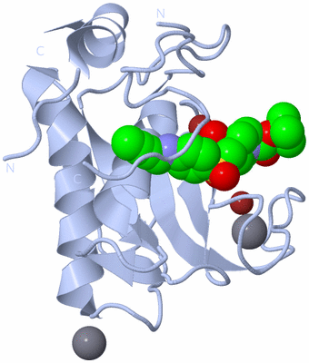 Image Biological Unit 1