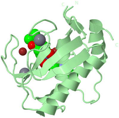 Image Biological Unit 2