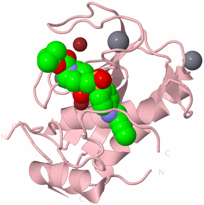 Image Biological Unit 3