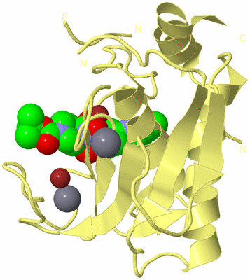 Image Biological Unit 4