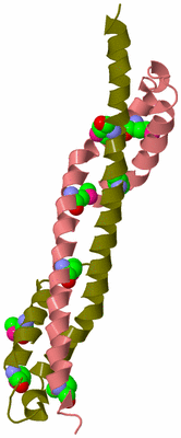 Image Asymmetric Unit