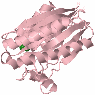 Image Biological Unit 3