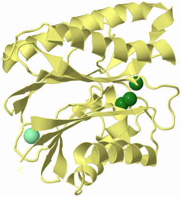 Image Biological Unit 4