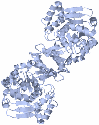 Image Biological Unit 1