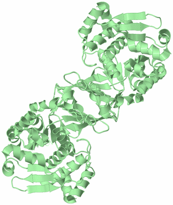 Image Biological Unit 3