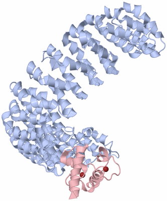 Image Biological Unit 1