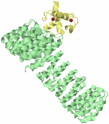 Image Biological Unit 2