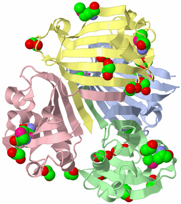 Image Biological Unit 1