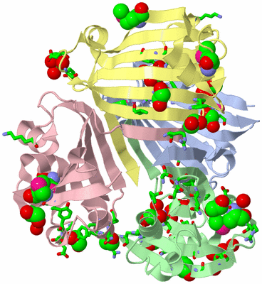 Image Biol. Unit 1 - sites