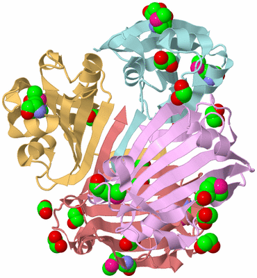 Image Biological Unit 2