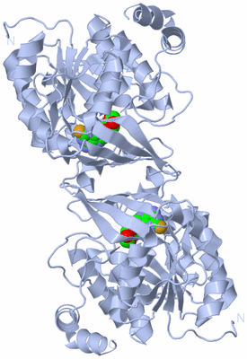 Image Biological Unit 1